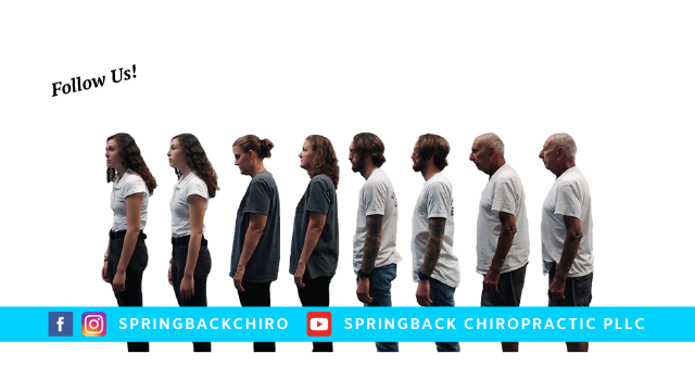 SpringBack Chiropractic