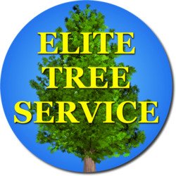 Elite Tree Service