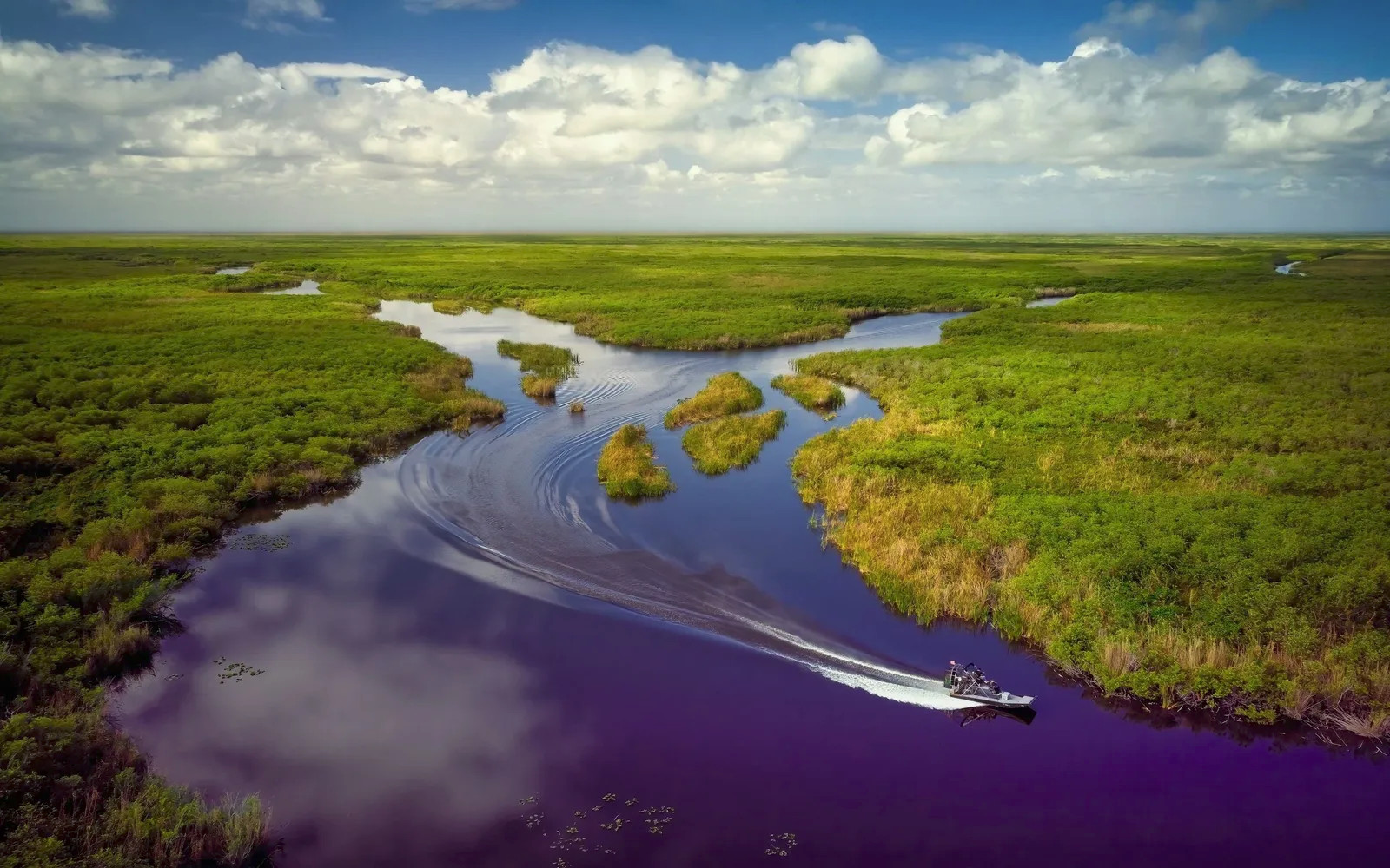 Gator Airboat Rides