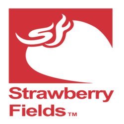 Strawberry Fields Cannabis Denver