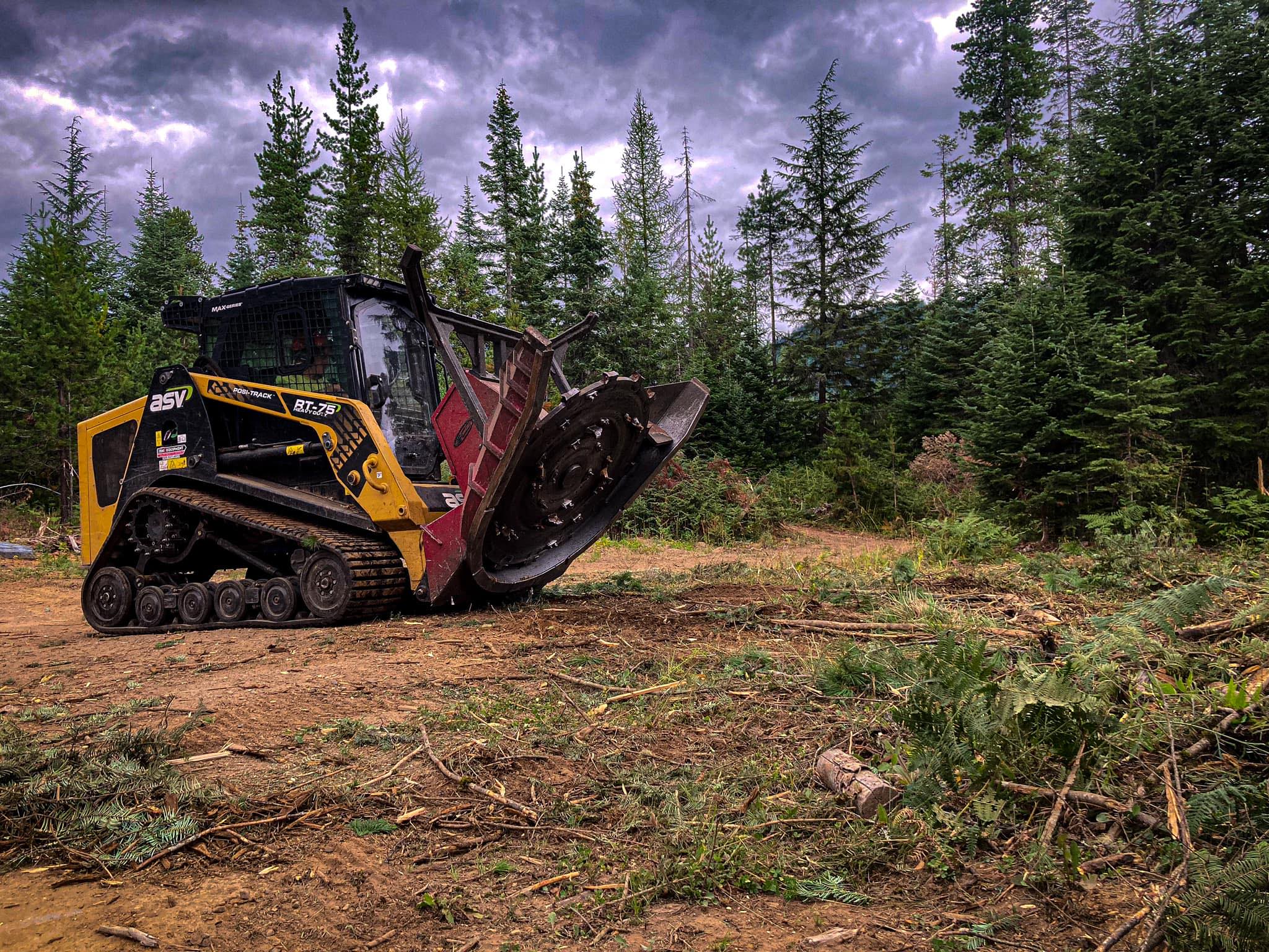 Backwoods Forestry Mulching