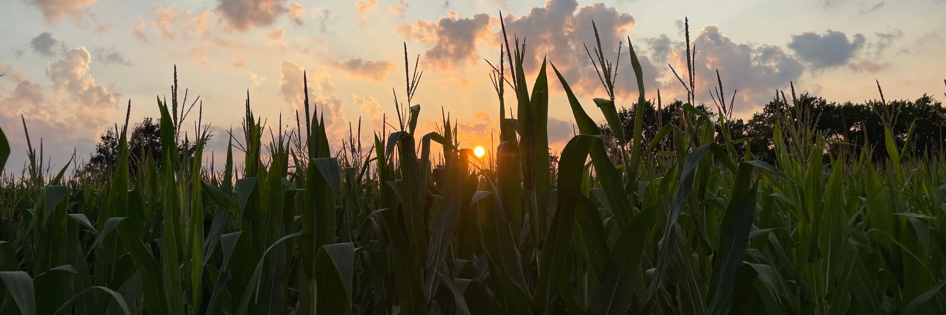 Heritage Cooperative – Marysville Ag Campus